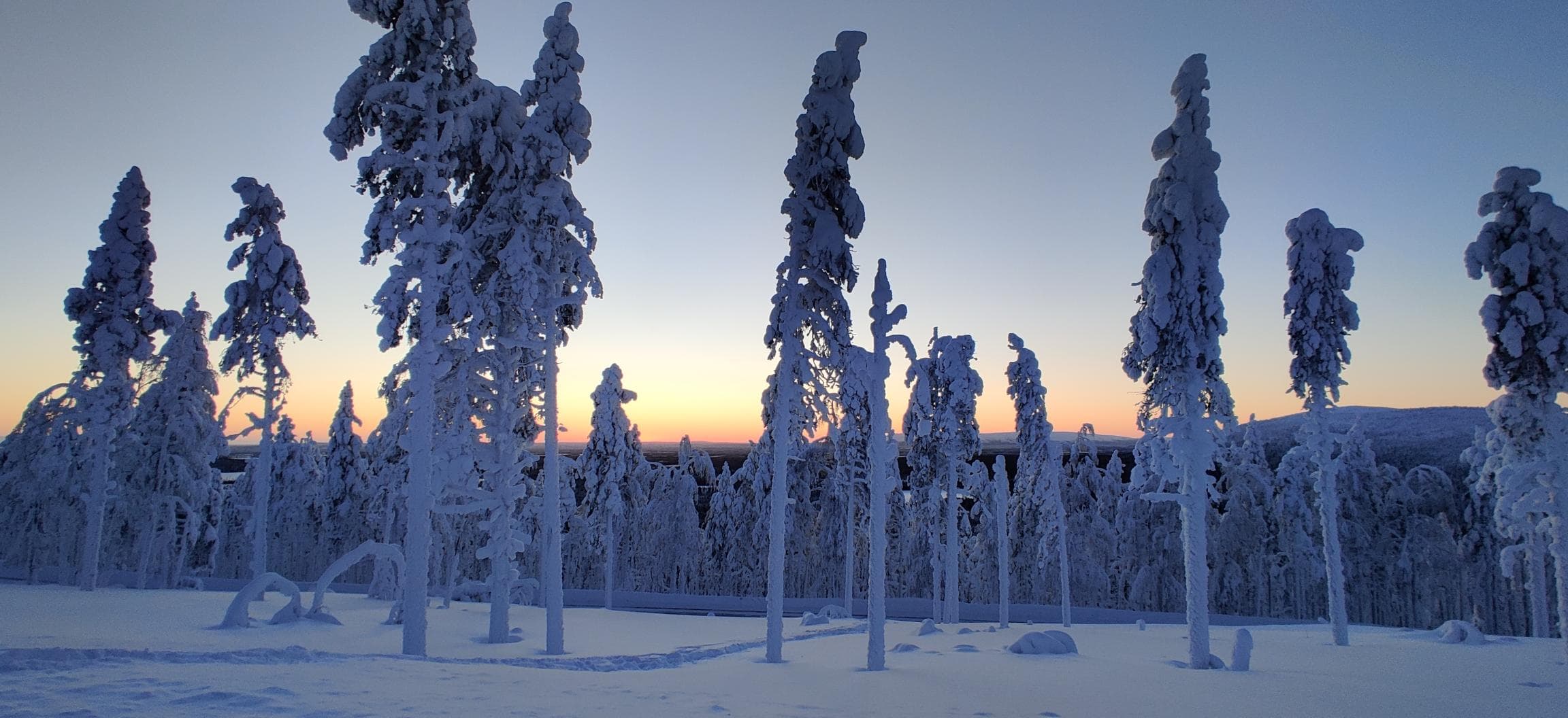 Winter (november–maart)