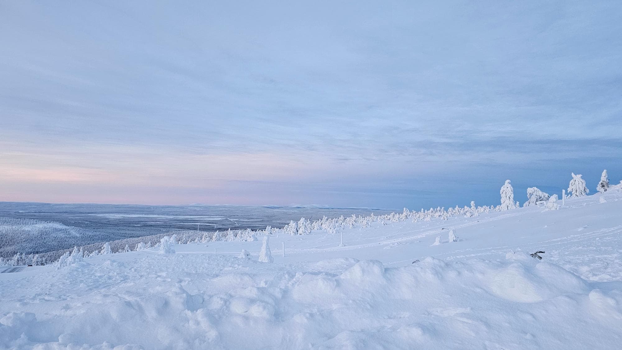 Snowmobile Safaris