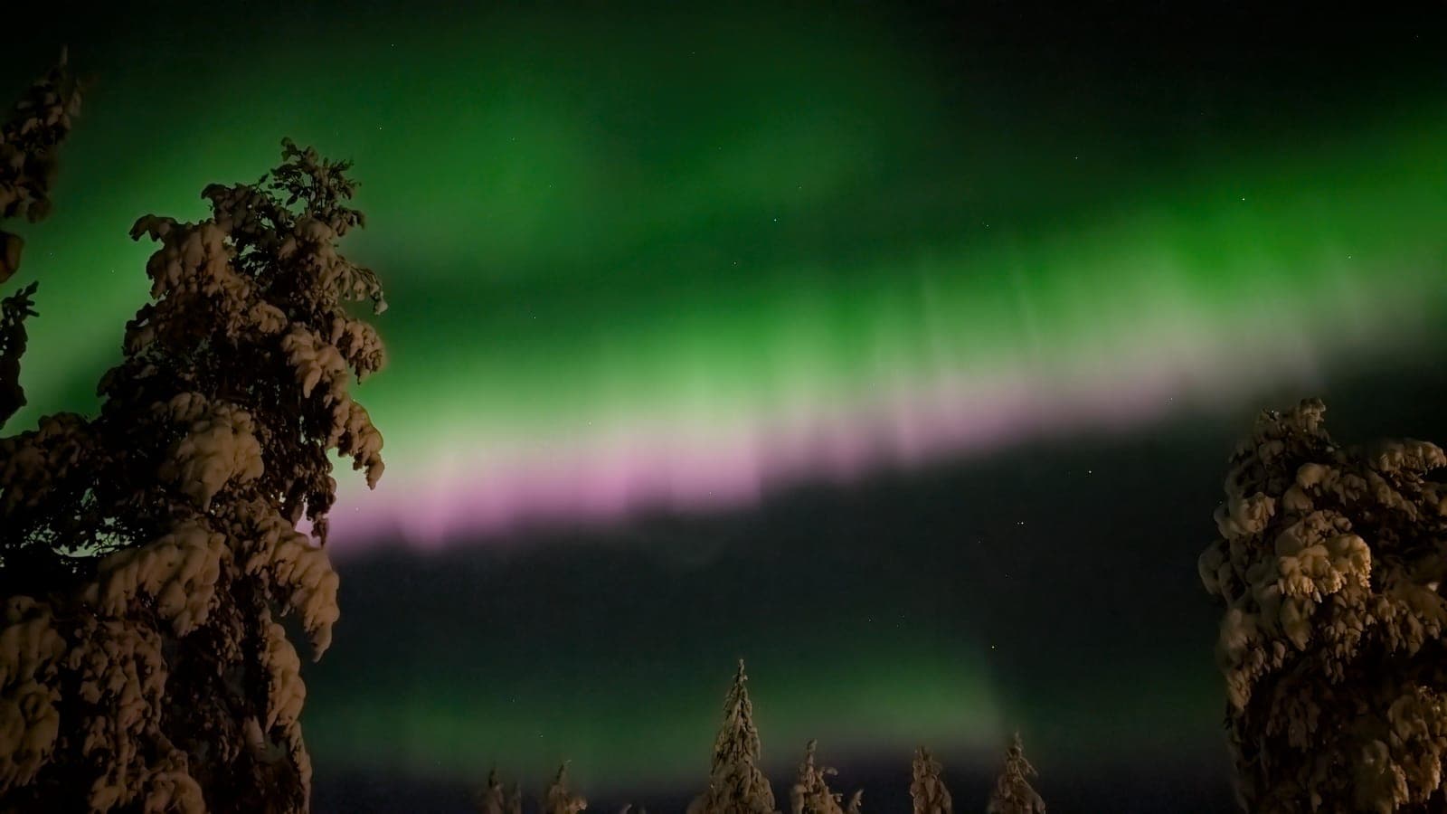 Northern Lights Hunting