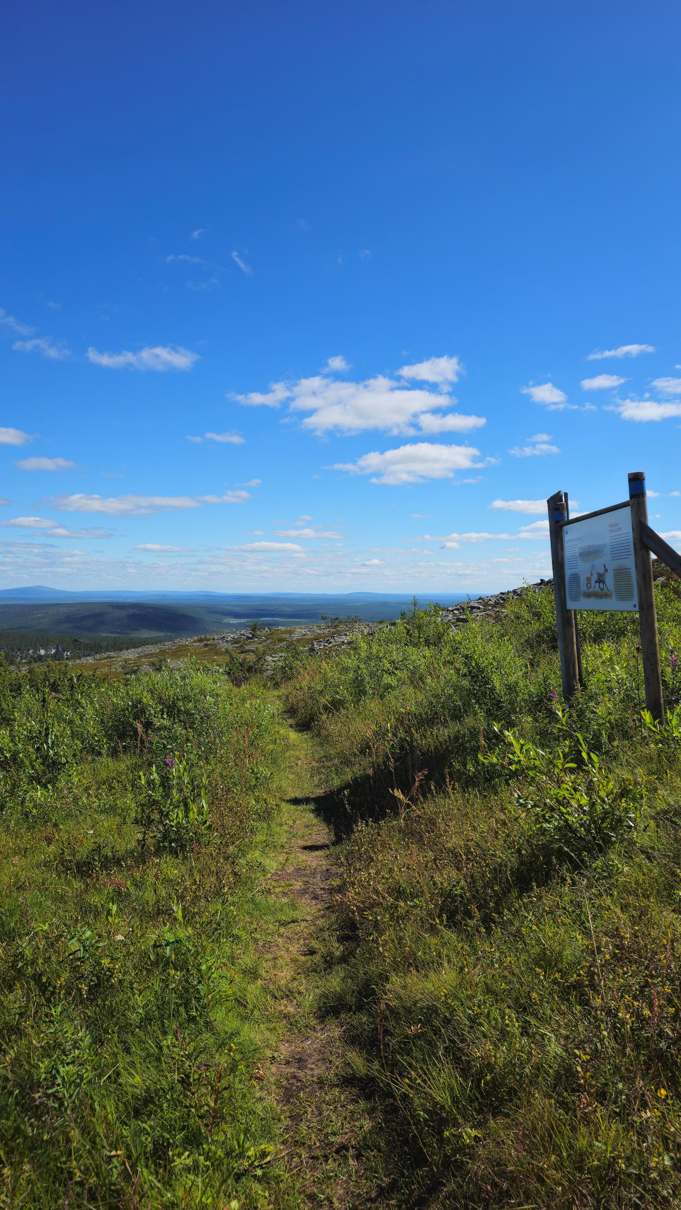 Mountain Biking