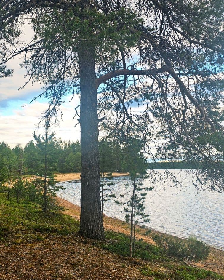 Camping au bord d'un lac près de Hetta