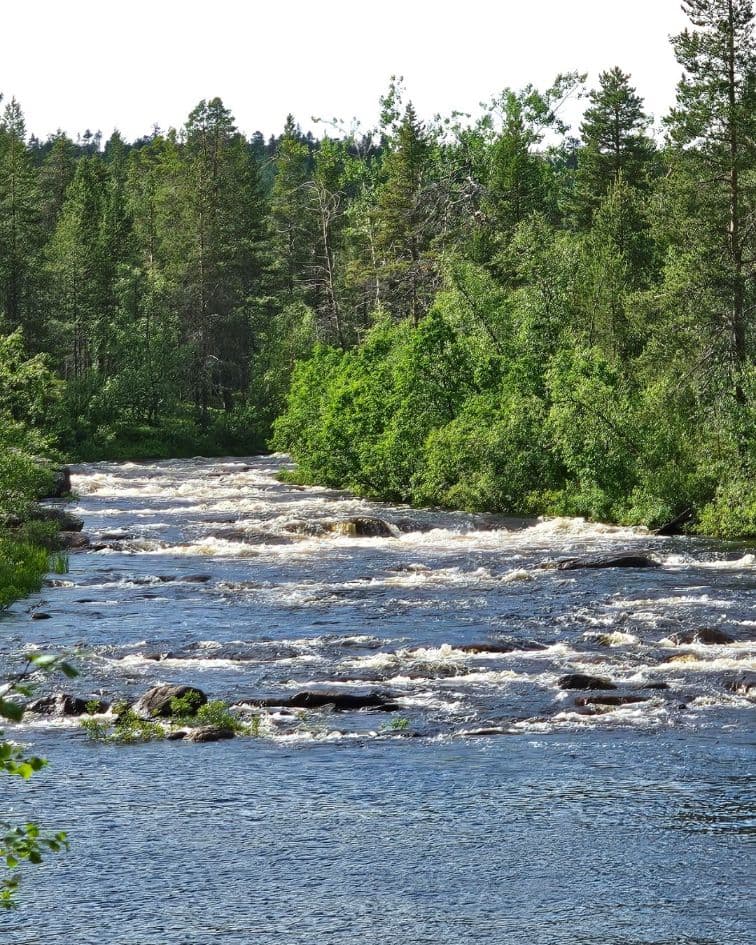Beau paysage fluvial sur la Könkämäeno en Enontekiö