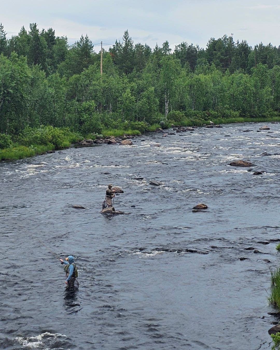 Pêche à l'ombre avec technique nymphe en Enontekiö