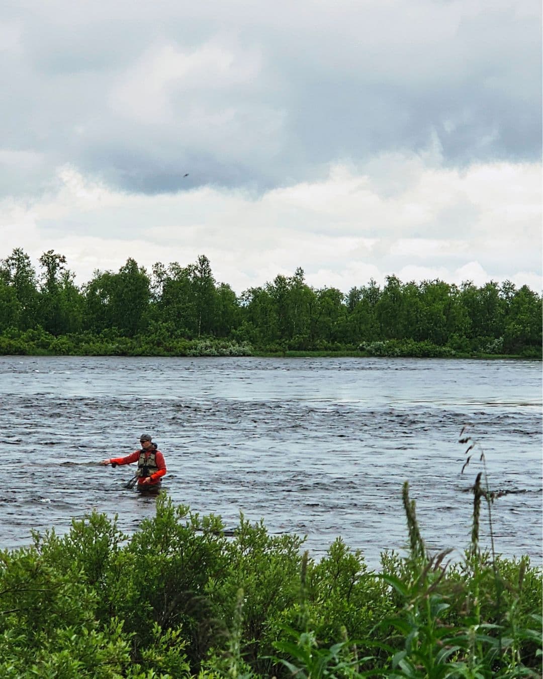 Large rivière Könkämäeno et ombre trophée