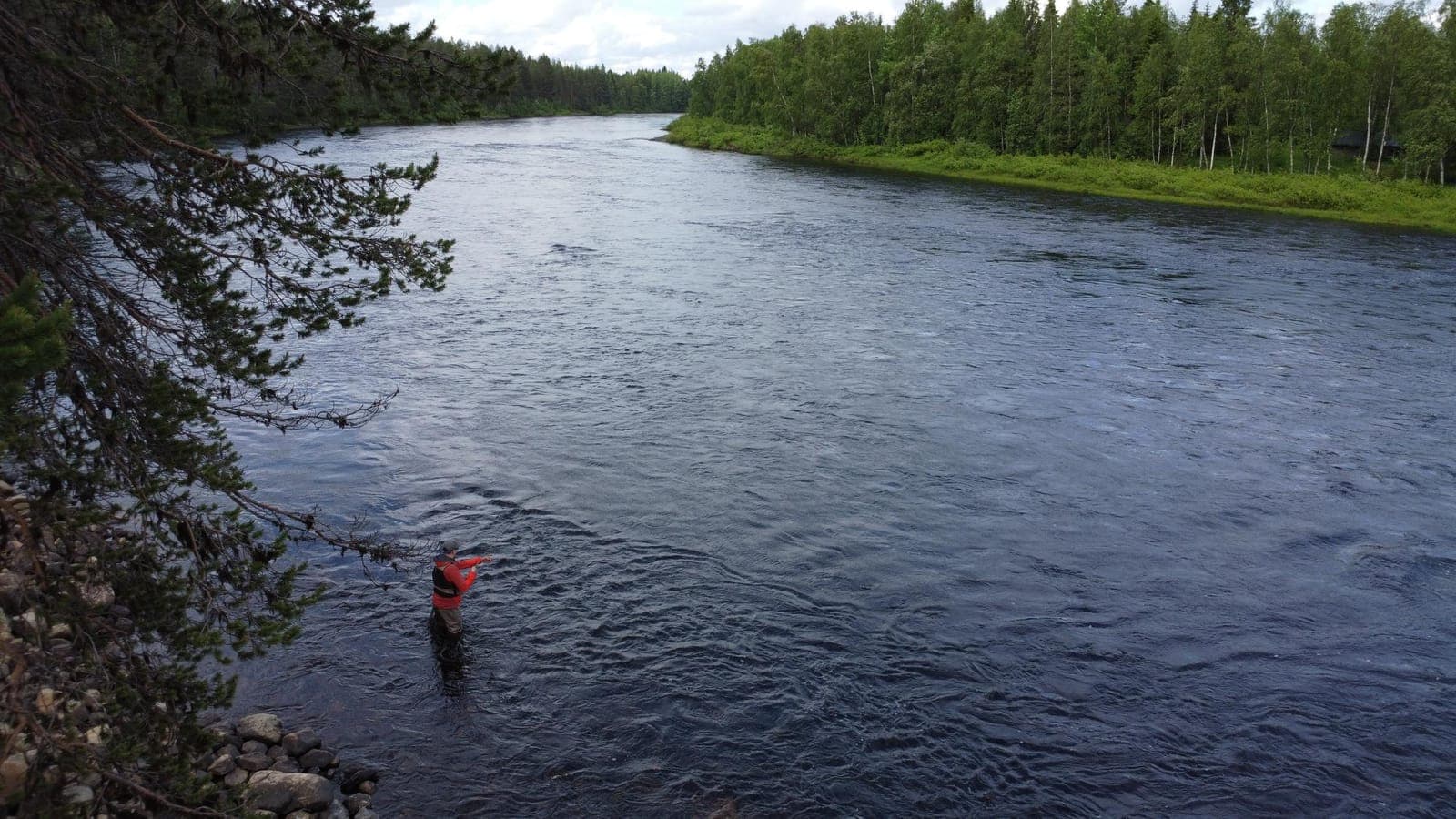 Pêche à la mouche sur l'Ounasjoki près de Levi, en Finlande