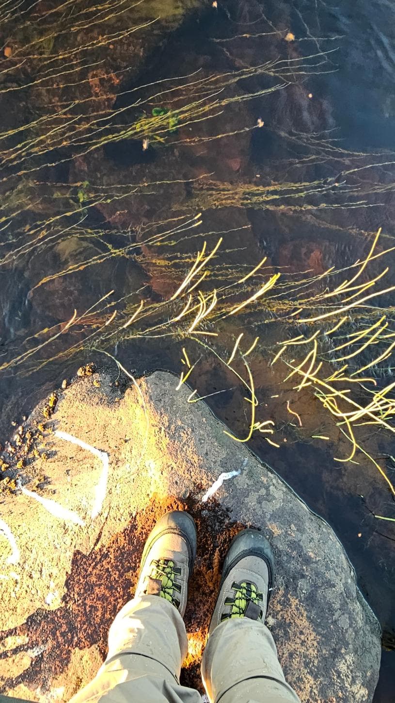 Helder water van een kleine rivier in Fins Lapland