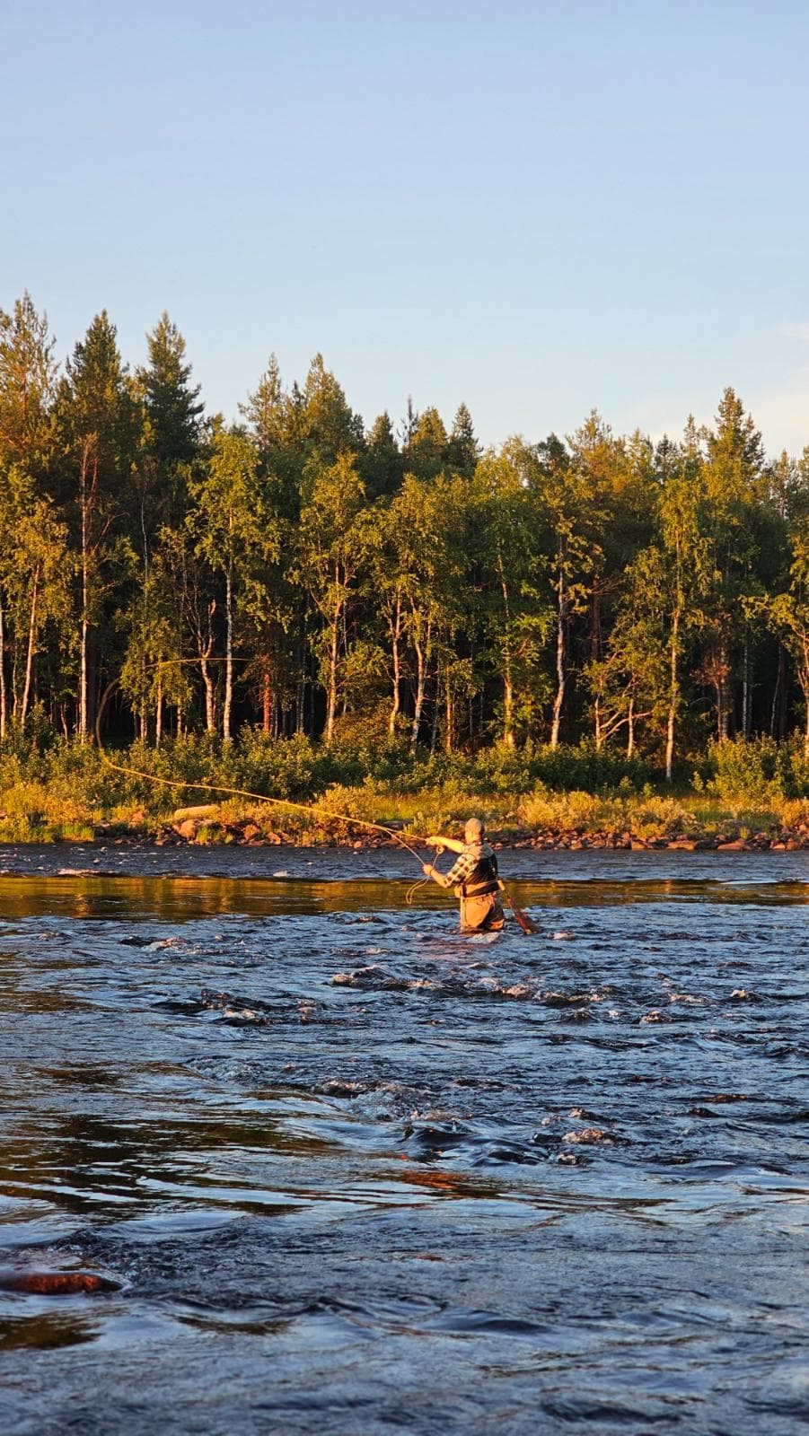 Kalastaja kahlaa leveällä Ounasjoella Lapissa