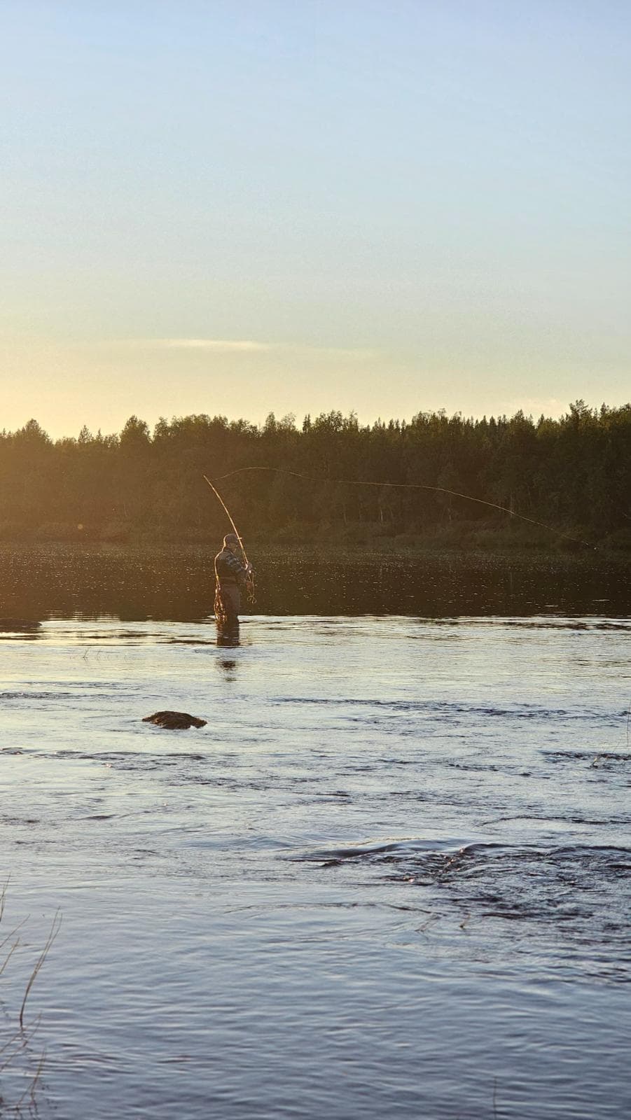 Der Fliegenfischer-Guide für die Region Levi: Ounasjoki, Kapsajoki und Könkämäeno