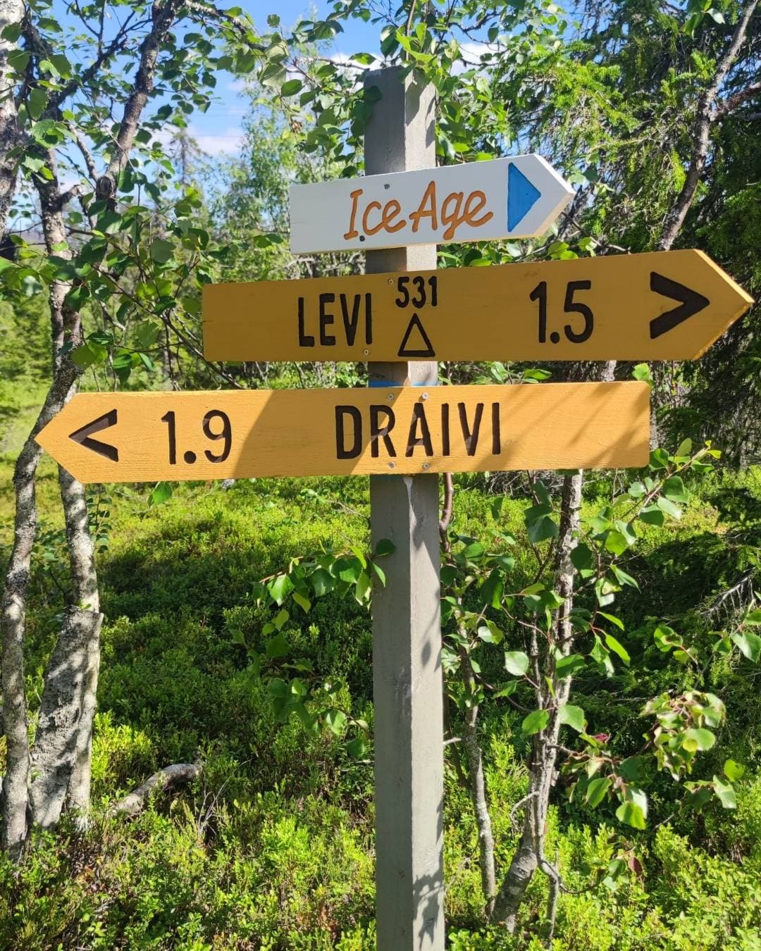 Das offizielle Schild am Start des Jääkausipolku