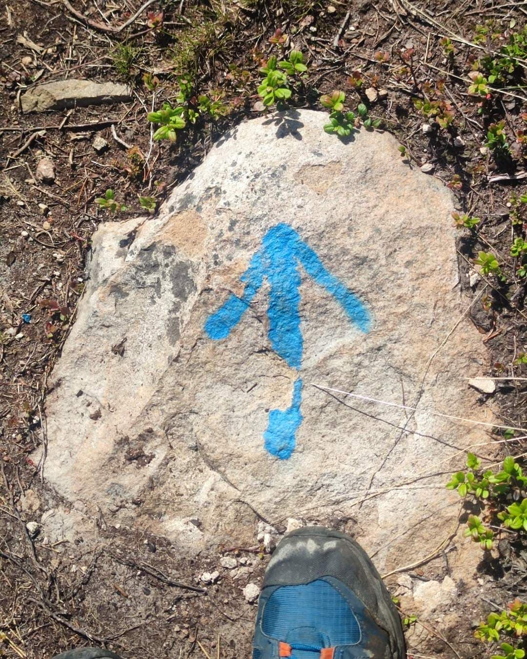 Ein blauer Richtungspfeil weist Wanderern den Weg auf dem Jääkausipolku