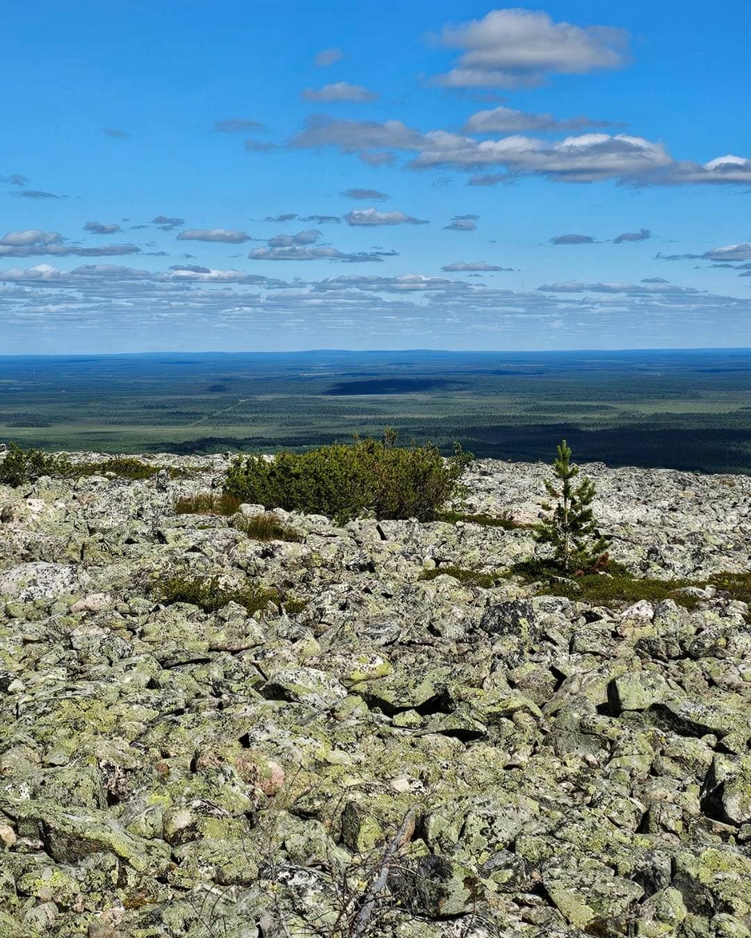 Alpine Natur und steiniges Gelände entlang des Jääkausipolku