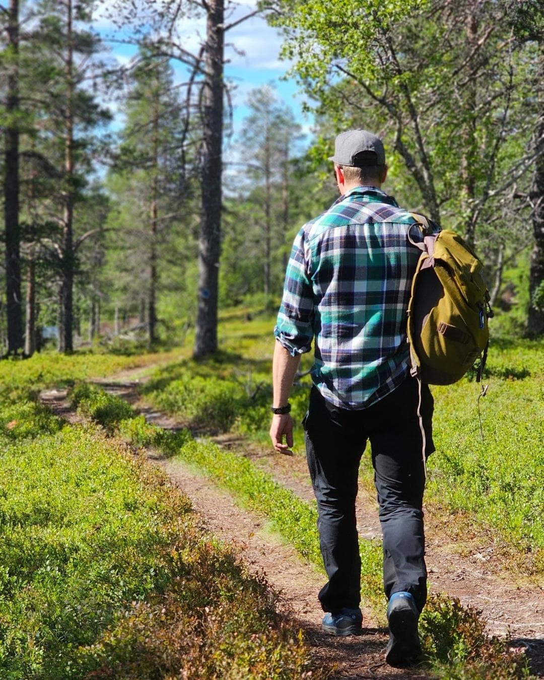 Sommerlicher Wanderer auf dem Weg zum Levitunturi