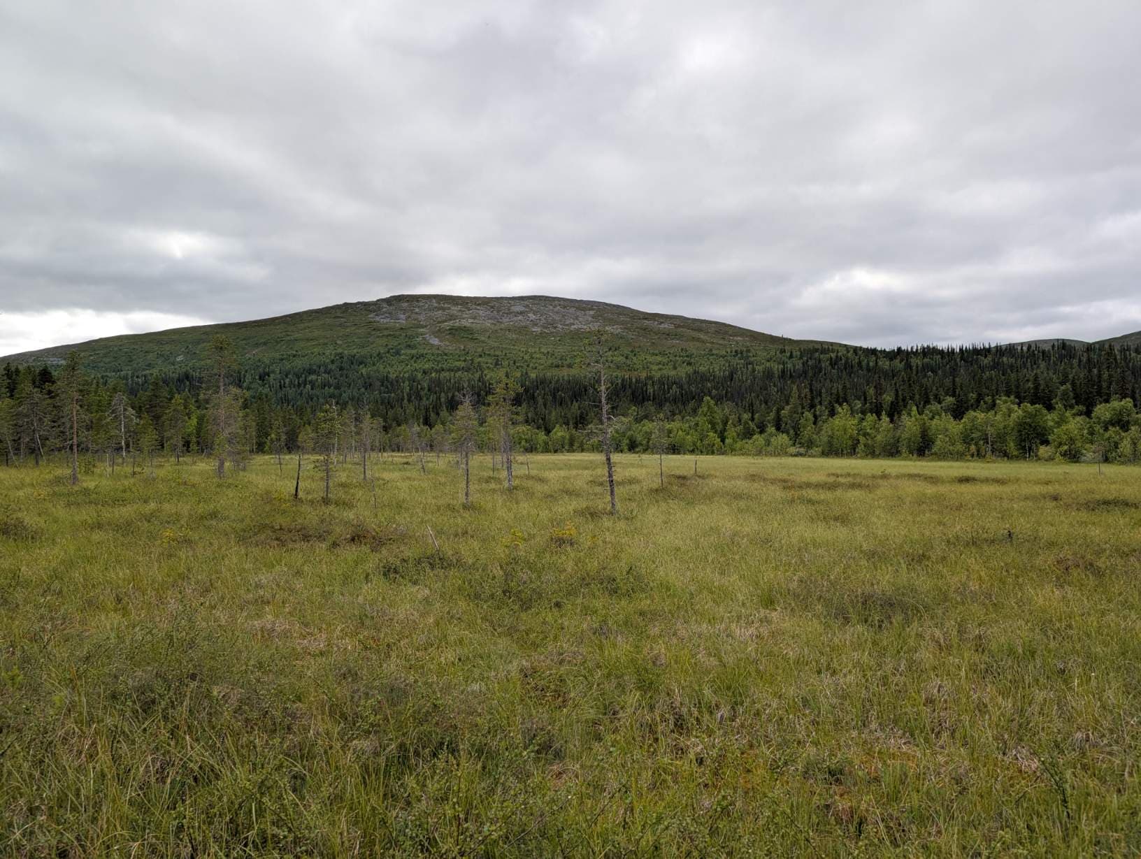 The trail opens into open marshland, with the fell visible in the distance