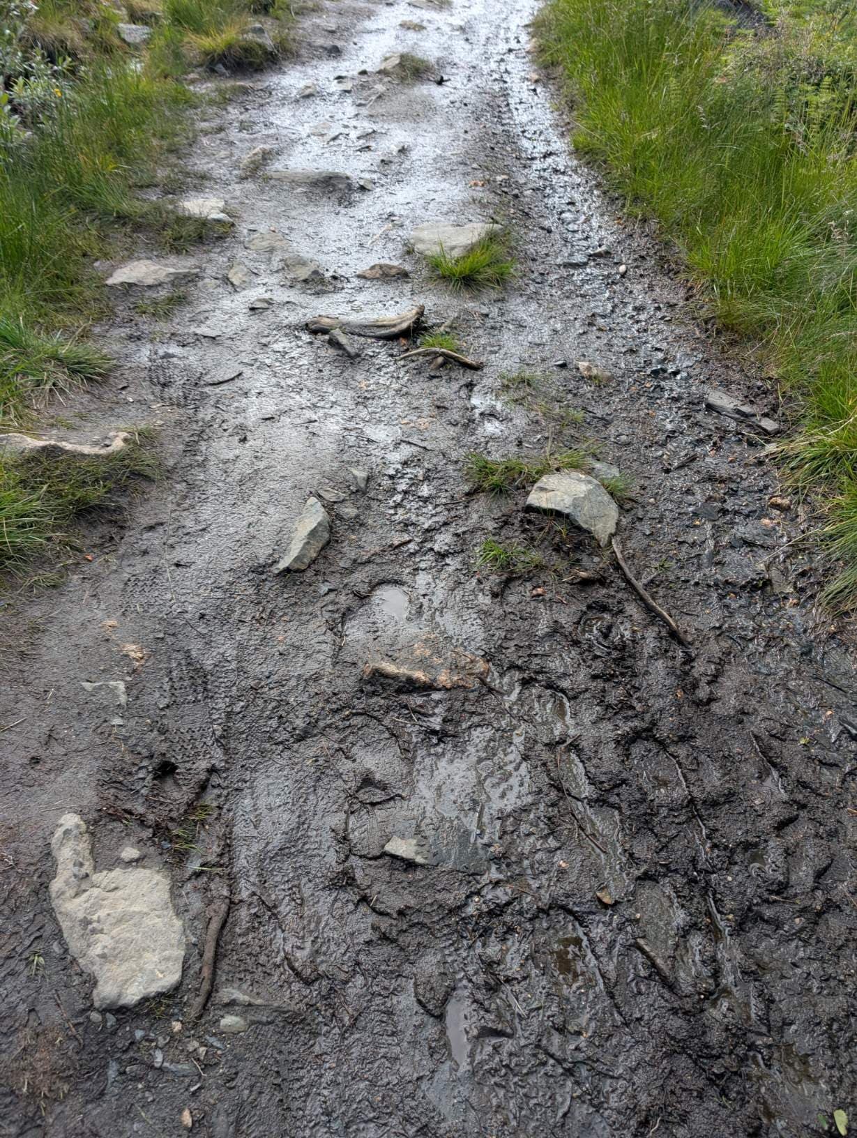 Some lower parts of the trail were a little wet