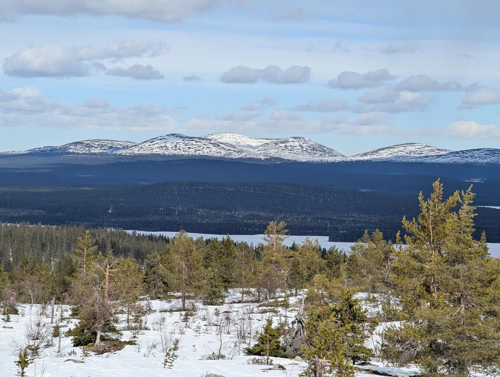Näkymä kohti Pallastuntureita
