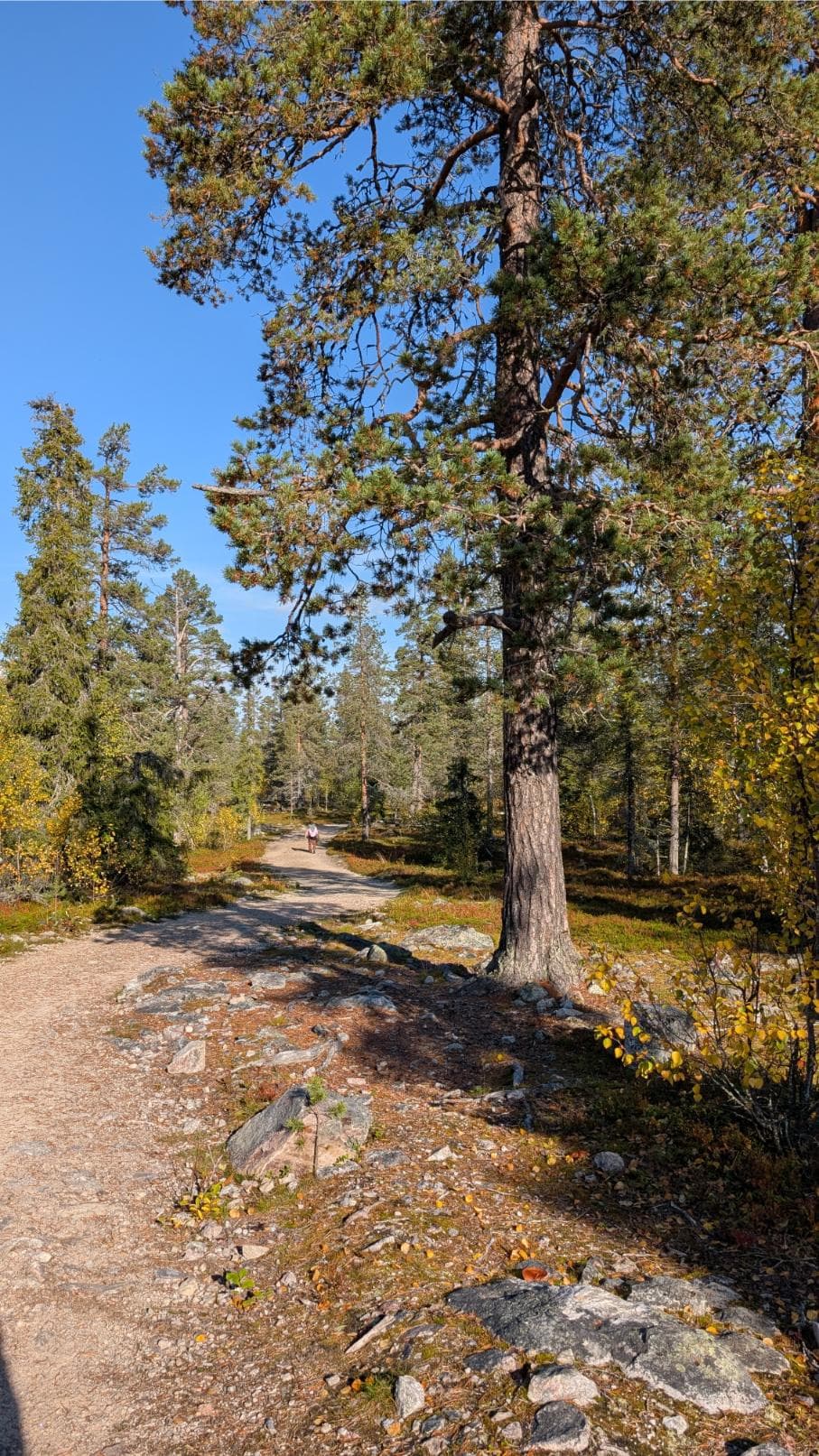Herfst (september–oktober)