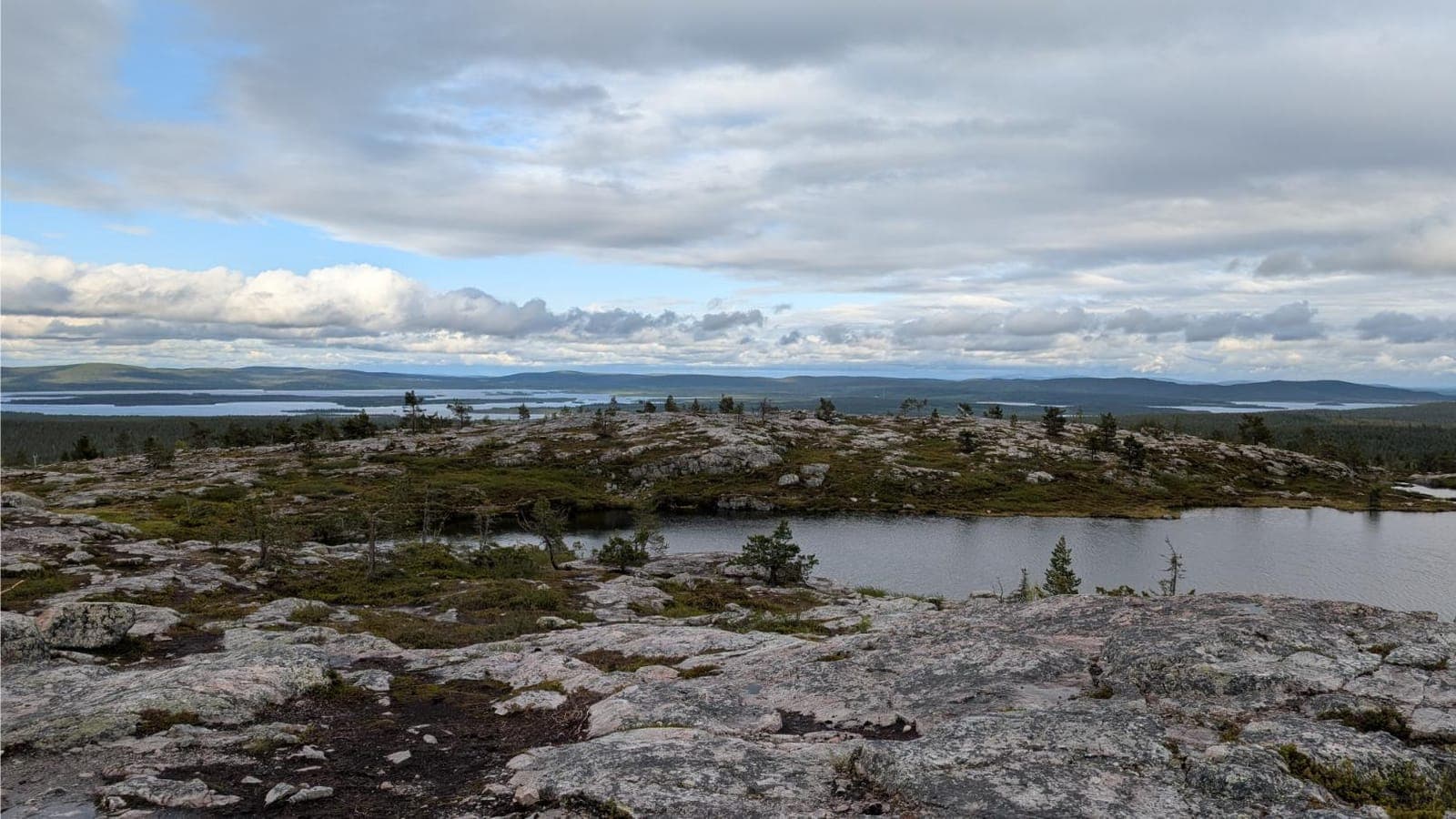 Upeat lammet huipulla