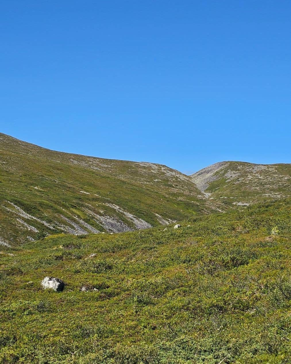 Pallas-Yllästunturi-Nationalpark