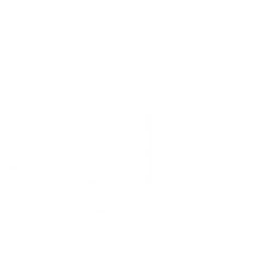 Experience Levi logo