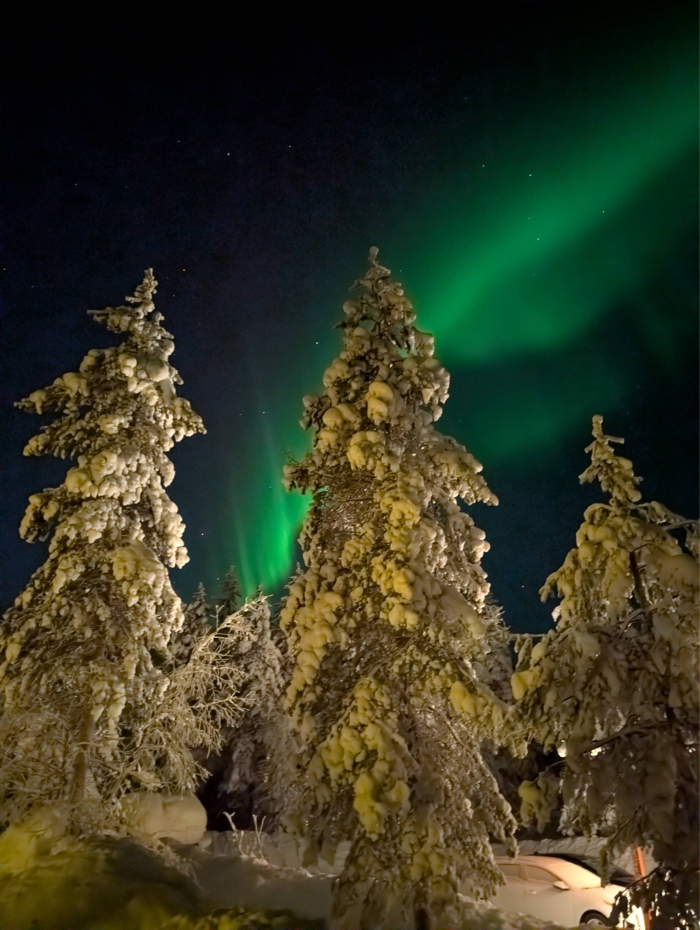 Aurora borealis behind snow-covered trees near Nulkka Chalet