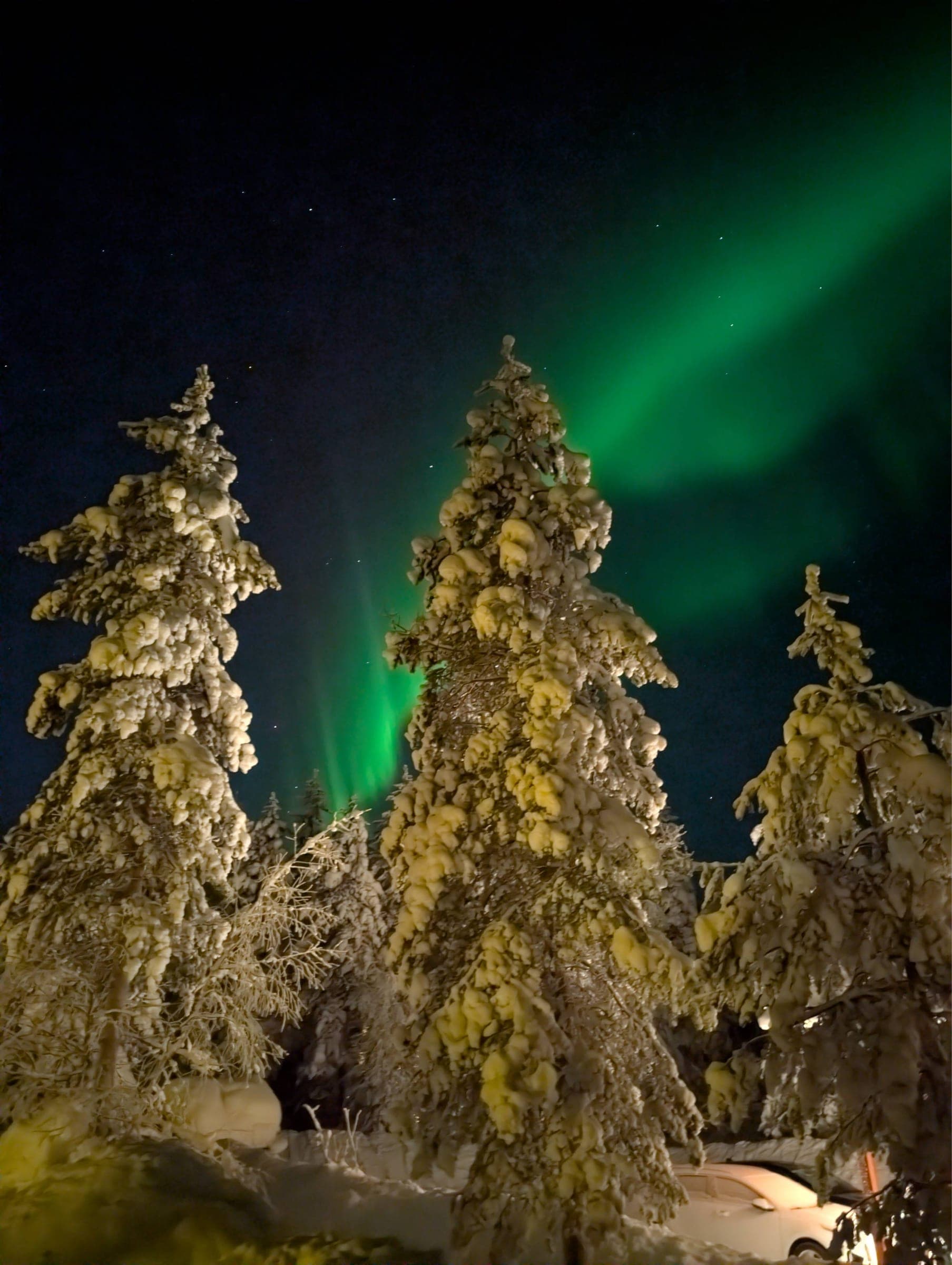 Aurora borealis behind snow-covered trees near Nulkka Chalet